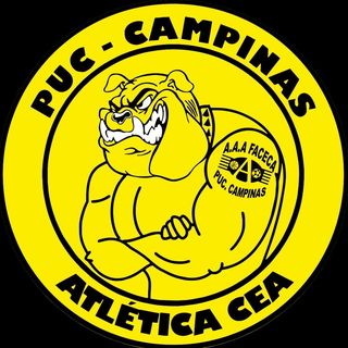 Logo da Faceca Puccamp